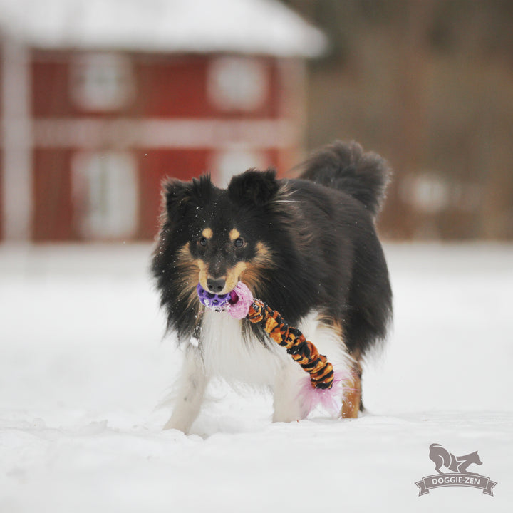 Mini Hol-ee Roller Crinkle Bungee Tug