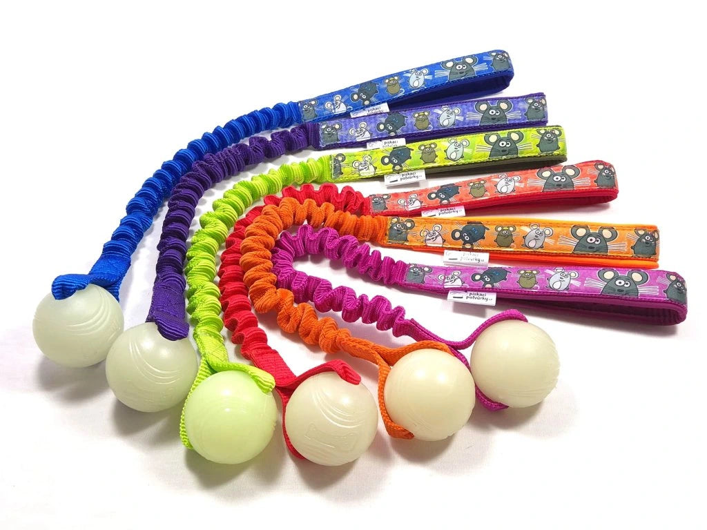 Chuckit Glow Ball bungee tug