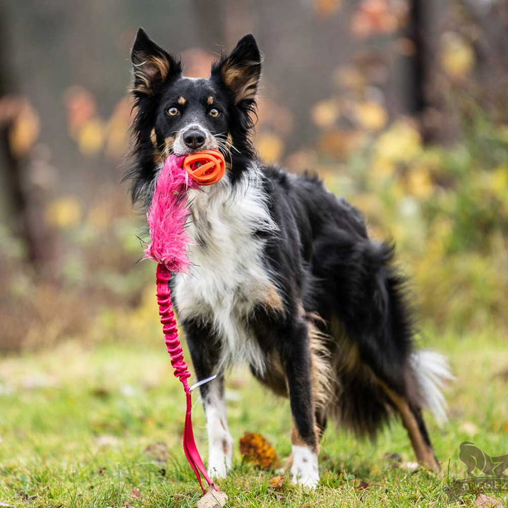 Chuckit Air Faux Fur Bungee Tug