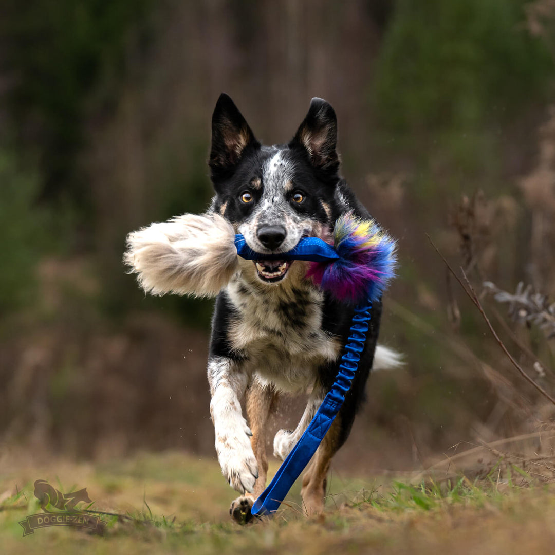 Squeaker tube Sheepskin n Faux Fur Bungee Tug