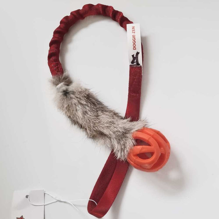 Rabbit with Chuckit Breathe Pocket Bungee Tug