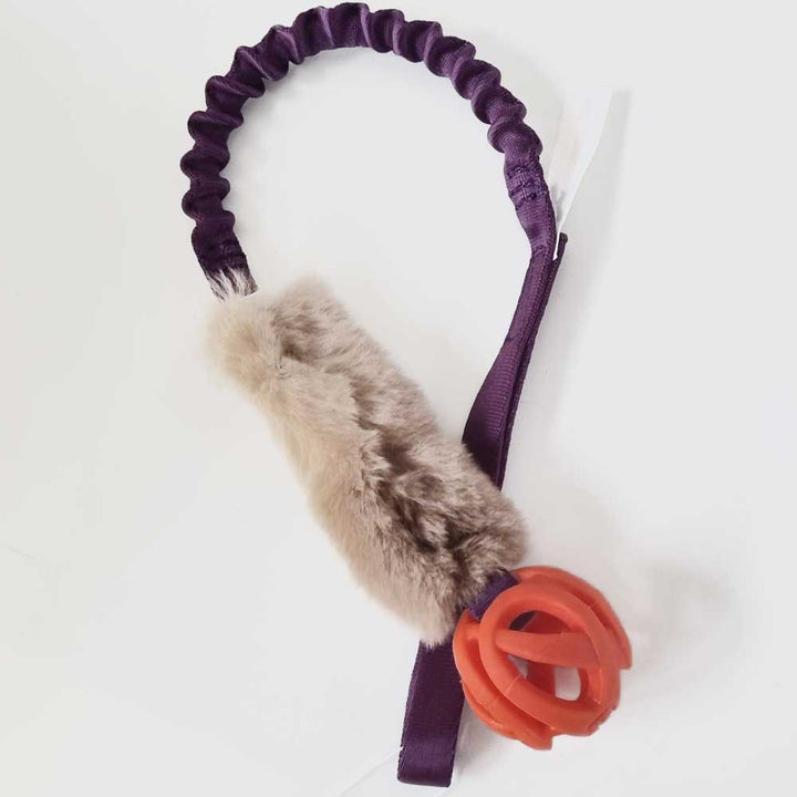 Rabbit with Chuckit Breathe Pocket Bungee Tug