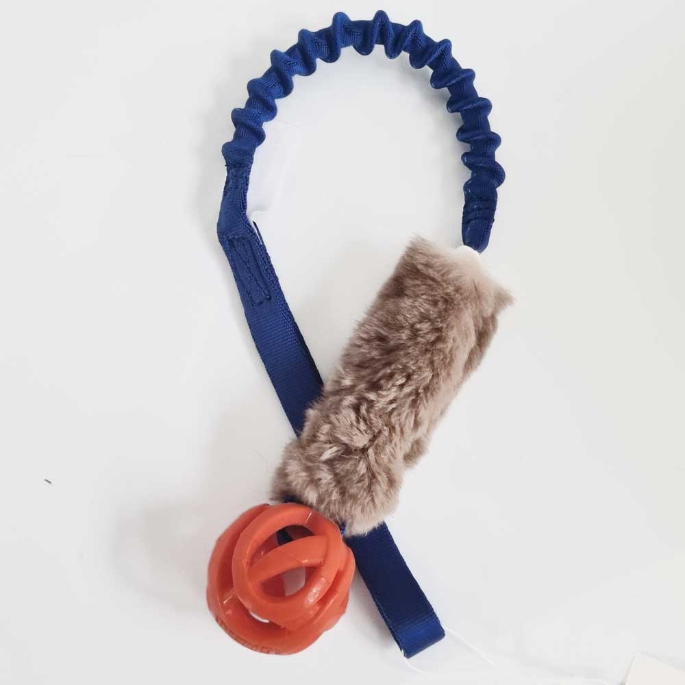 Rabbit with Chuckit Breathe Pocket Bungee Tug