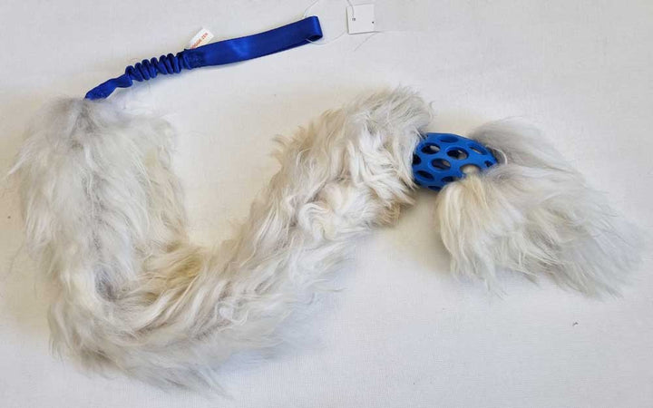 The Ultimate Sheepskin Holee Comet Bungee Chaser