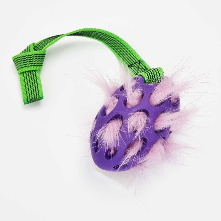 Squeaky Holee Football Sure grip Pocket Tug