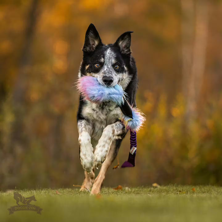Squeaky Faux Fur Bungee Treat Pouch