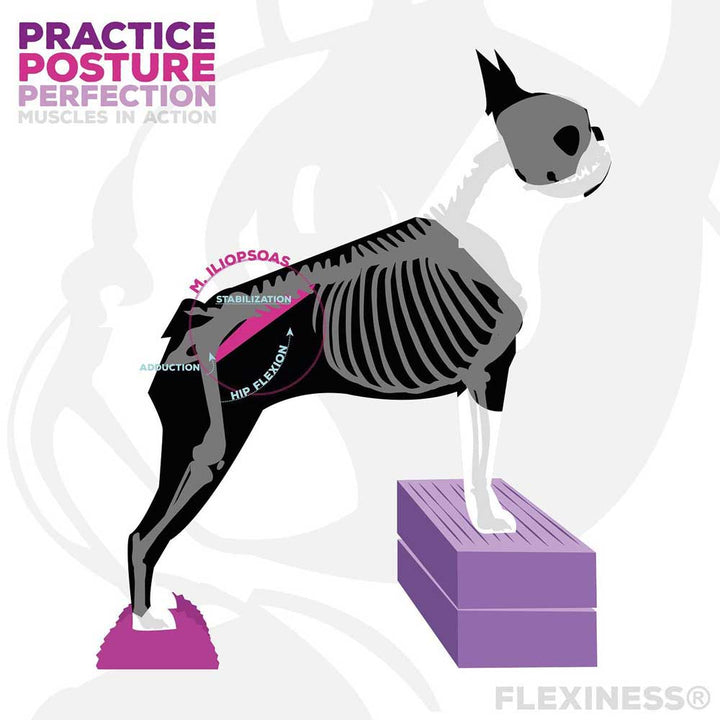 Flexiness®StackingBar