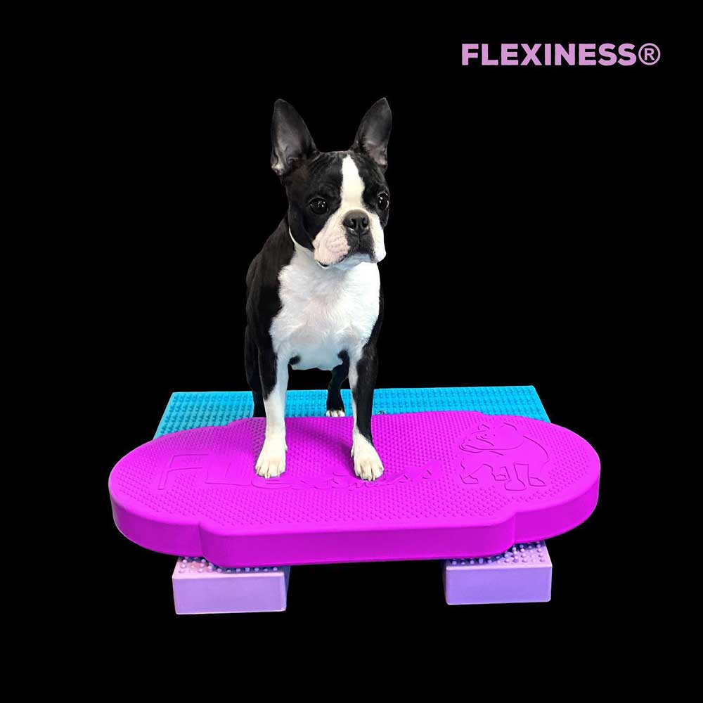 Flexiness®TwinDisc