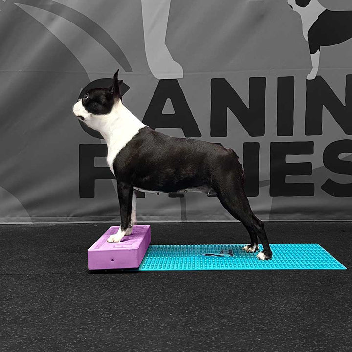 Flexiness®StackingBar