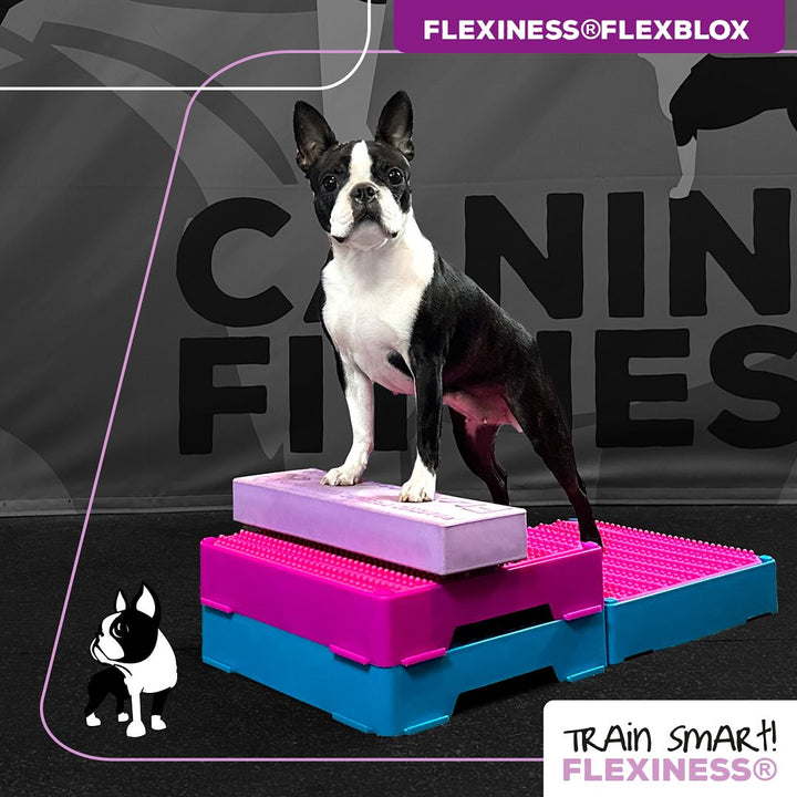 Flexiness Flexblox