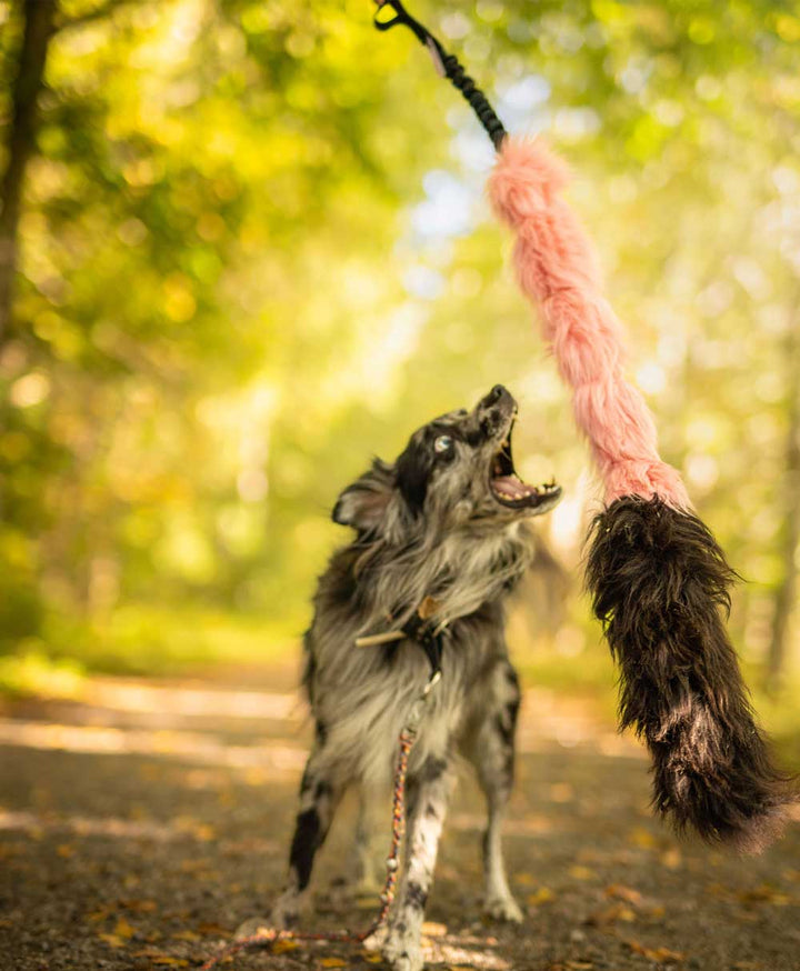 BIG Sheepskin and Faux fur Bungee CHASER tug