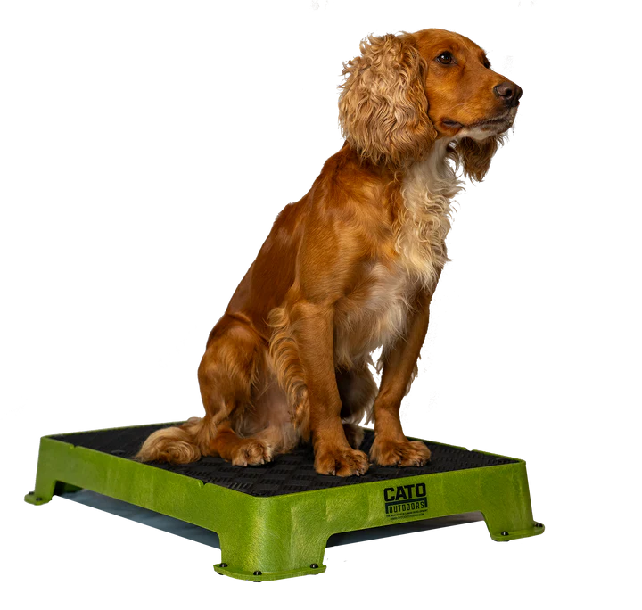 Cato Board Training Platform - Rubber Surface