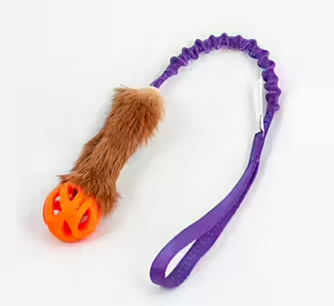 Rabbit with Chuckit Breathe Pocket Bungee Tug