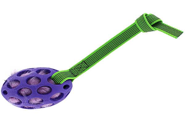 Squeaky Holee Football Sure grip Pocket Tug
