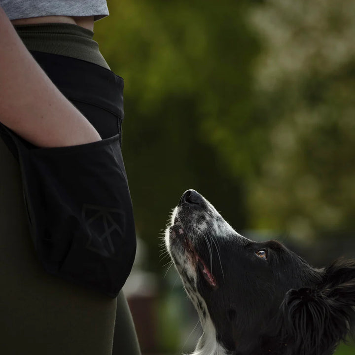 Hundlands Reward belt POCKY