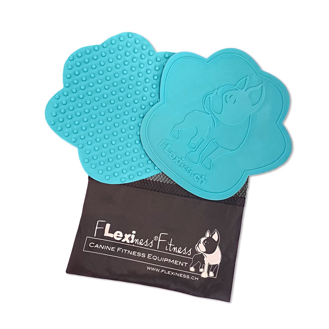 Flexiness® PawTarget - Set of 2