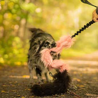 BIG Sheepskin and Faux fur Bungee CHASER tug