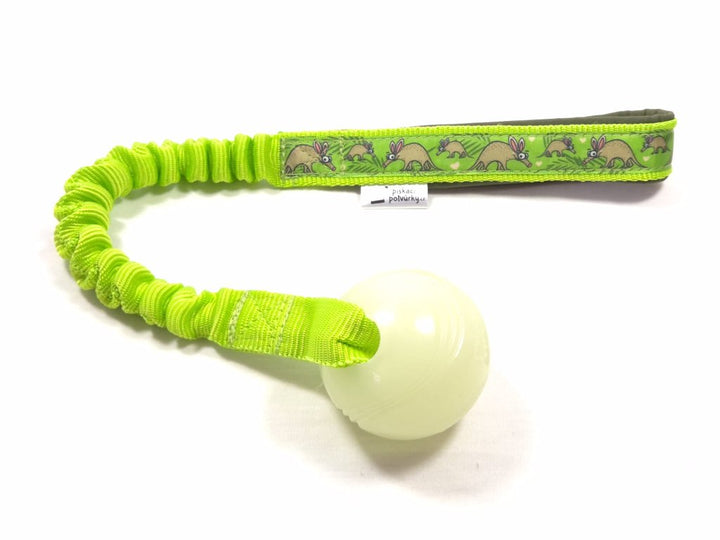 Chuckit Glow Ball bungee tug