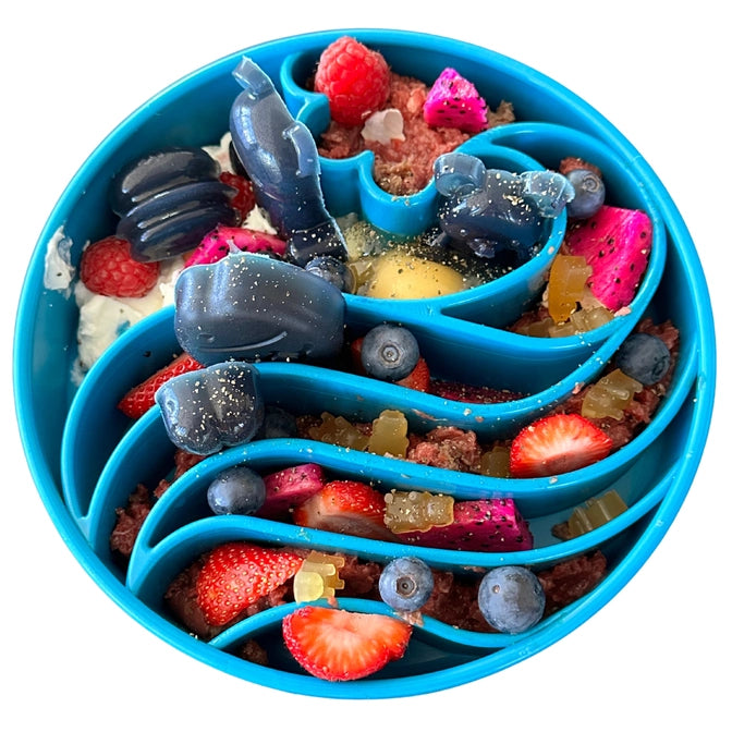 Wave Ebowl Slow Feeder