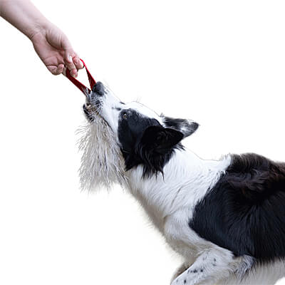 Badger Fur Pocket Tug