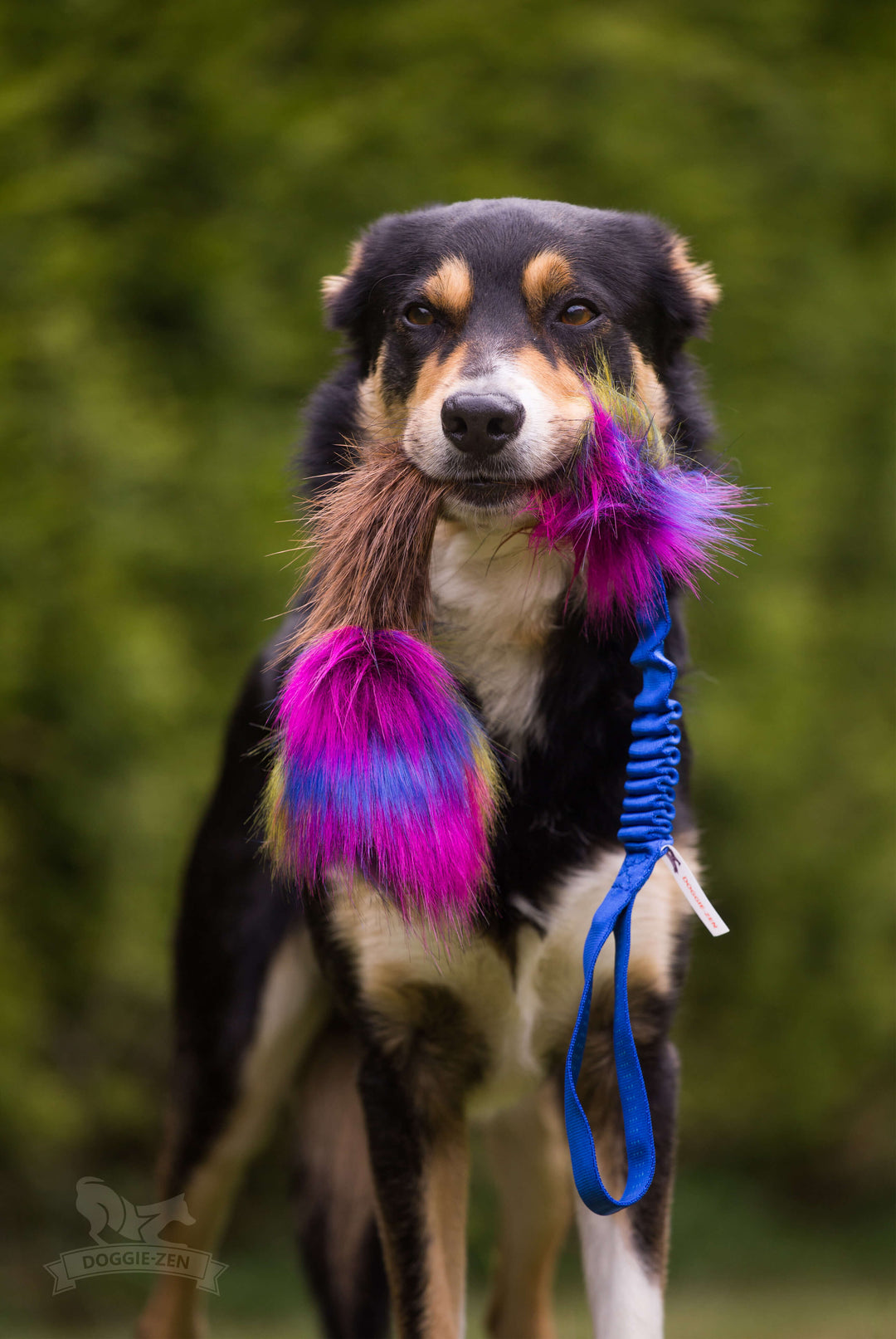 Beaver and Faux Fur Squeaky Bungee Tug