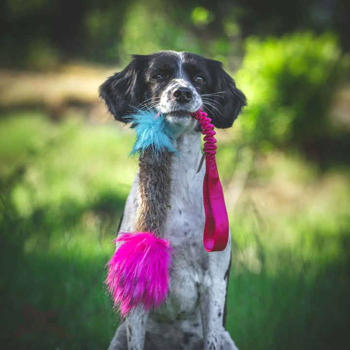 Beaver and Faux Fur Squeaky Bungee Tug