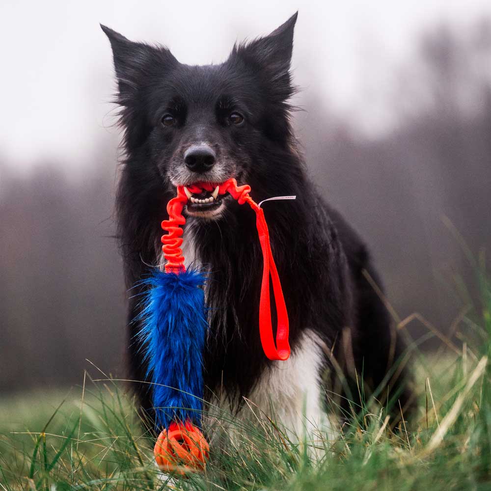 Chuckit Air Faux Fur Bungee Tug