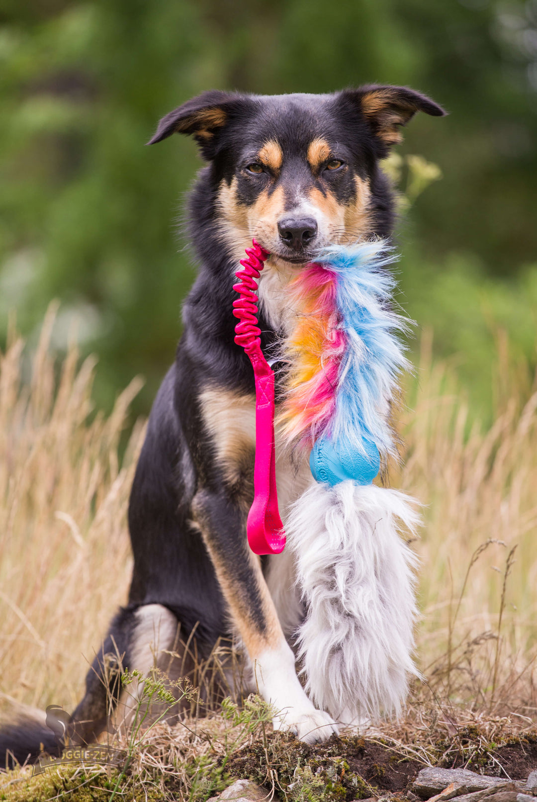 Chuckit ball with Faux fur & Sheepskin tail bungee tug