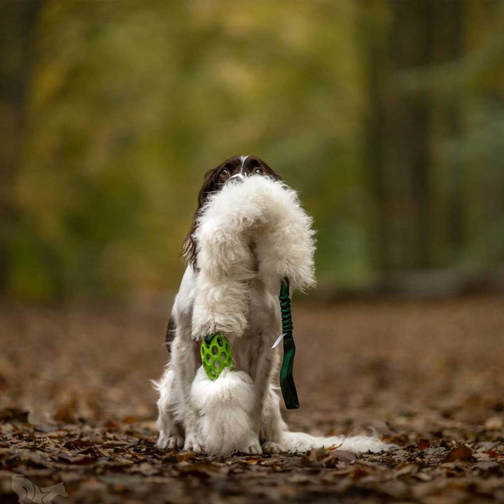 The Ultimate Sheepskin Holee Comet Bungee Chaser