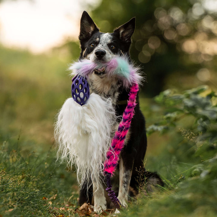 Holee Comet Bungee Chaser Tug