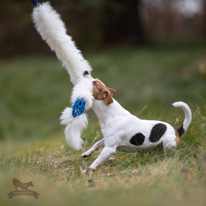 The Ultimate Sheepskin Holee Comet Bungee Chaser