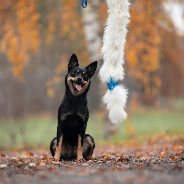 The Ultimate Sheepskin Holee Comet Bungee Chaser