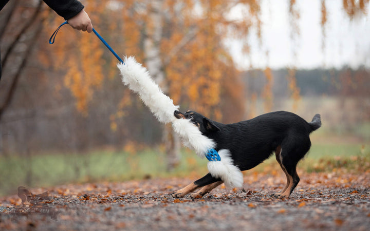 The Ultimate Sheepskin Holee Comet Bungee Chaser