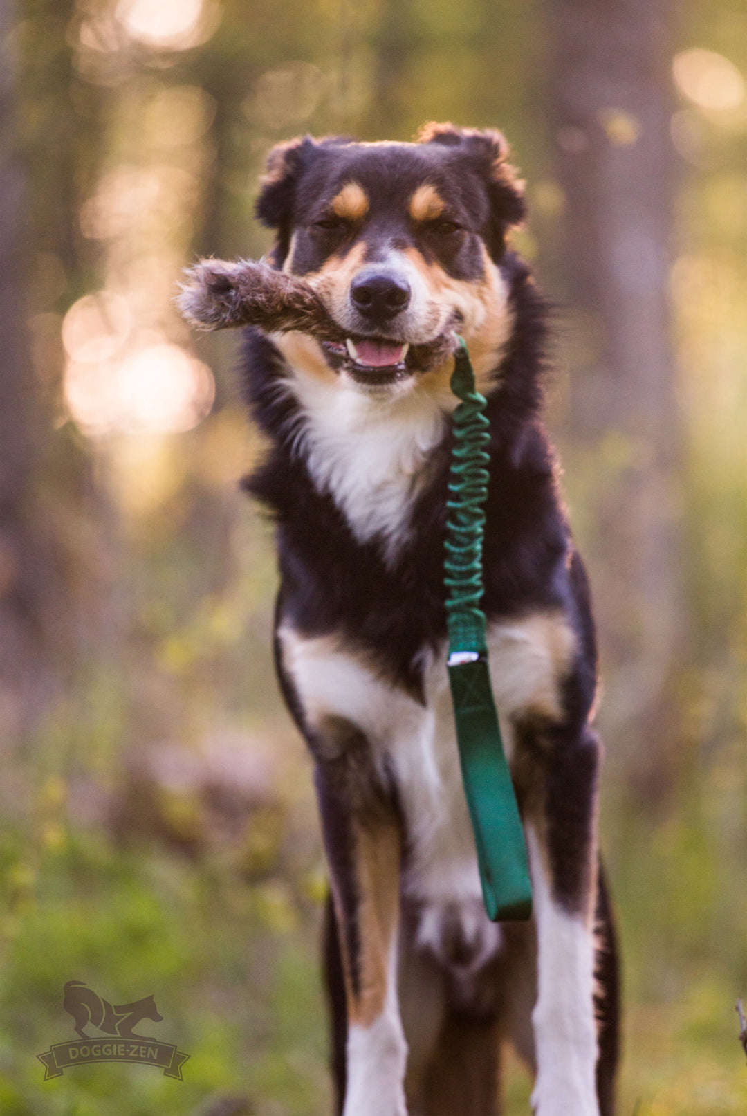 Rabbit Fur Bungee tug
