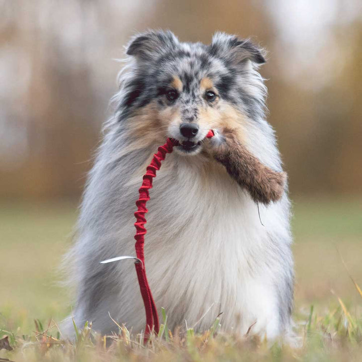 Rabbit Fur Bungee tug