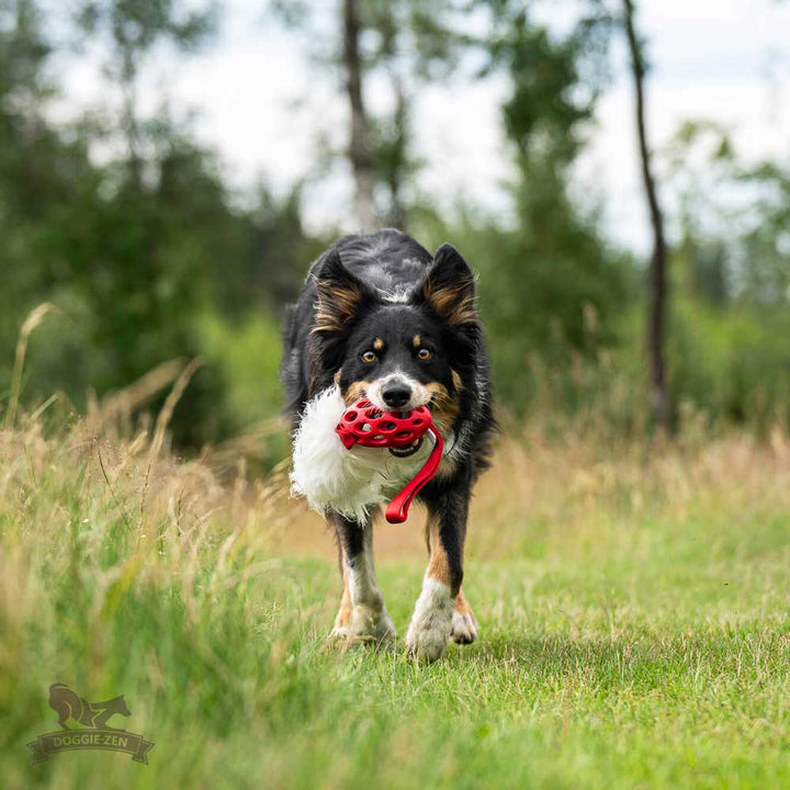 Holee Football with Sheepskin bungee tug