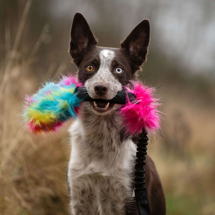 Squeaky Faux Fur Bungee Treat Pouch