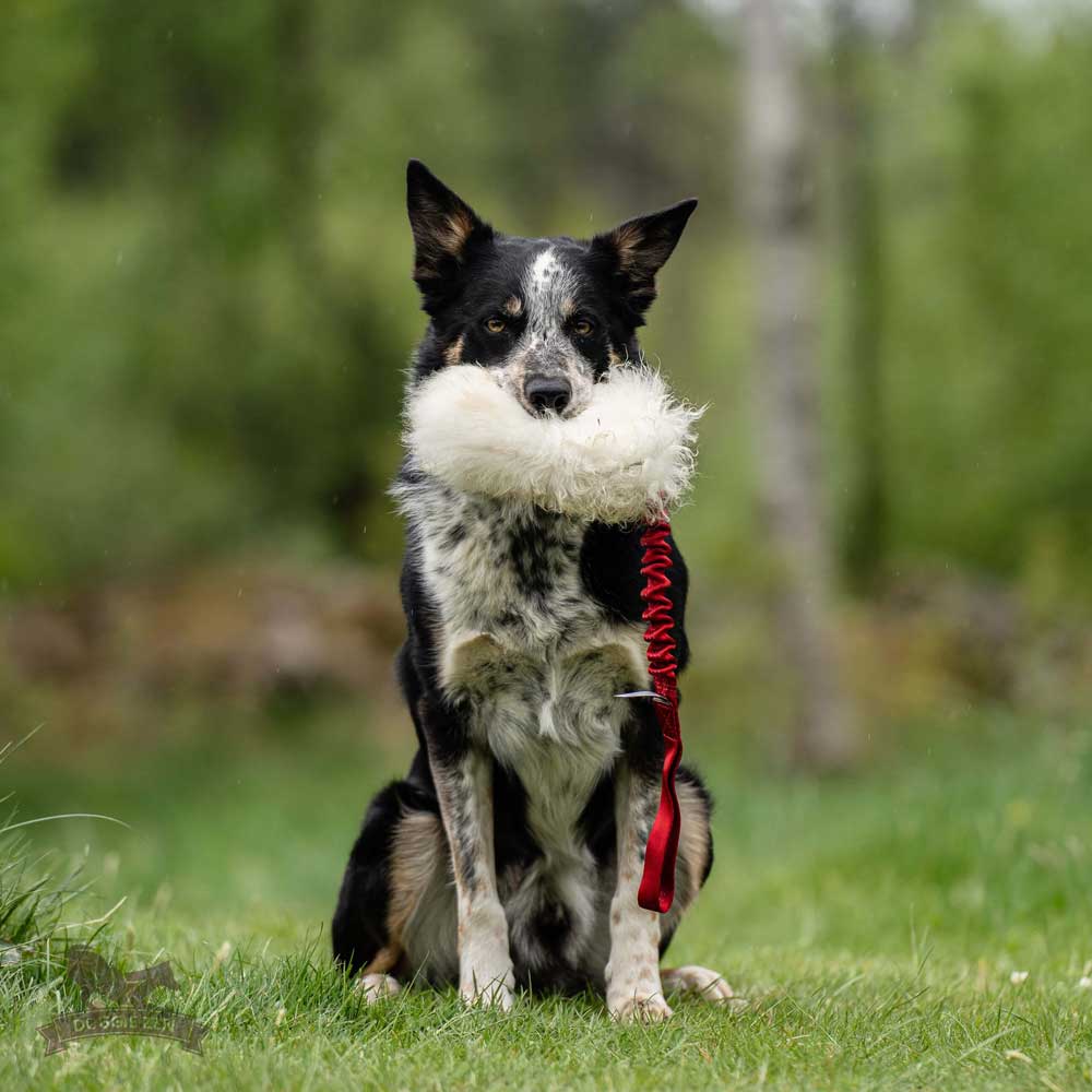 Sheepskin Bungee Treat Pouch