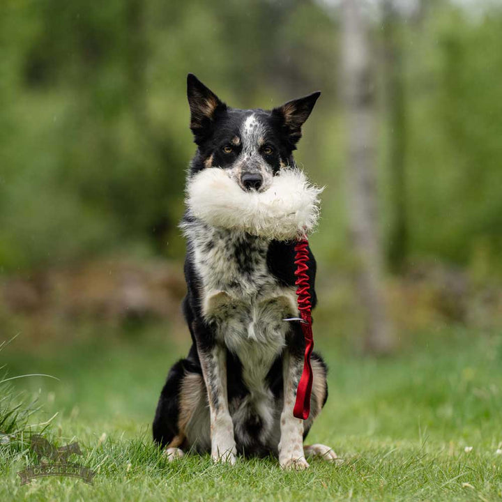 Sheepskin Bungee Treat Pouch