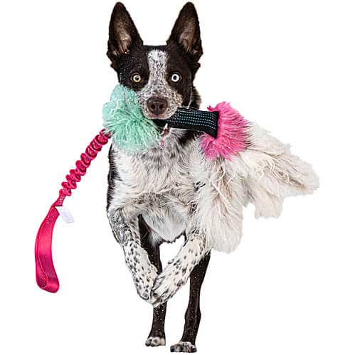 Squeaky Octopus Bungee tug with Sheepskin