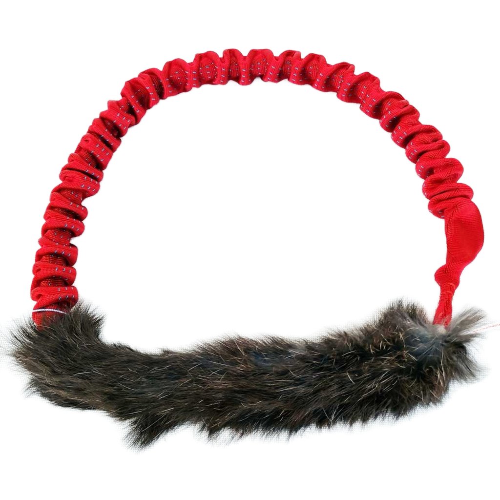 Bungee Rabbit Ring Tug