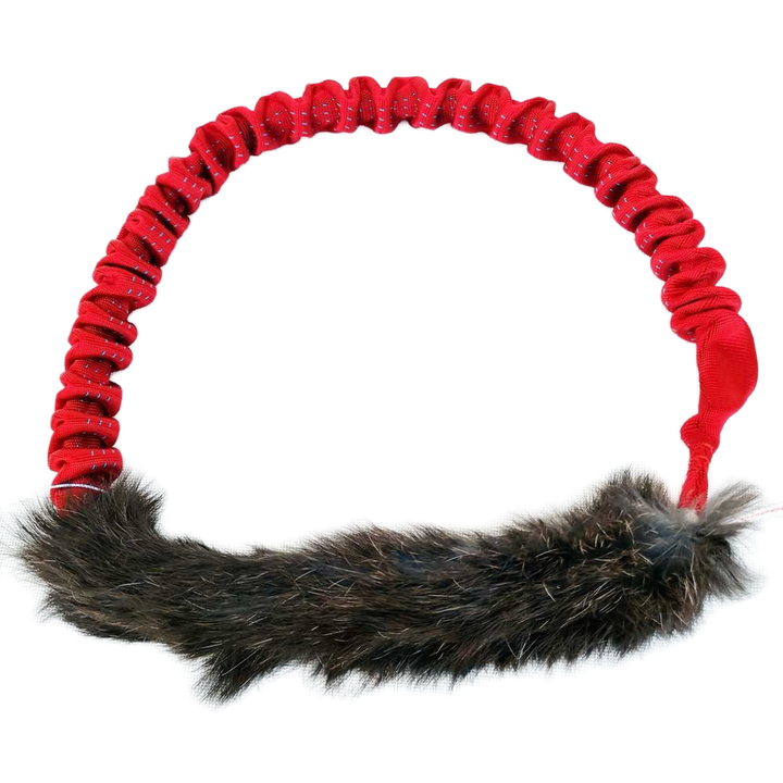 Bungee Rabbit Ring Tug