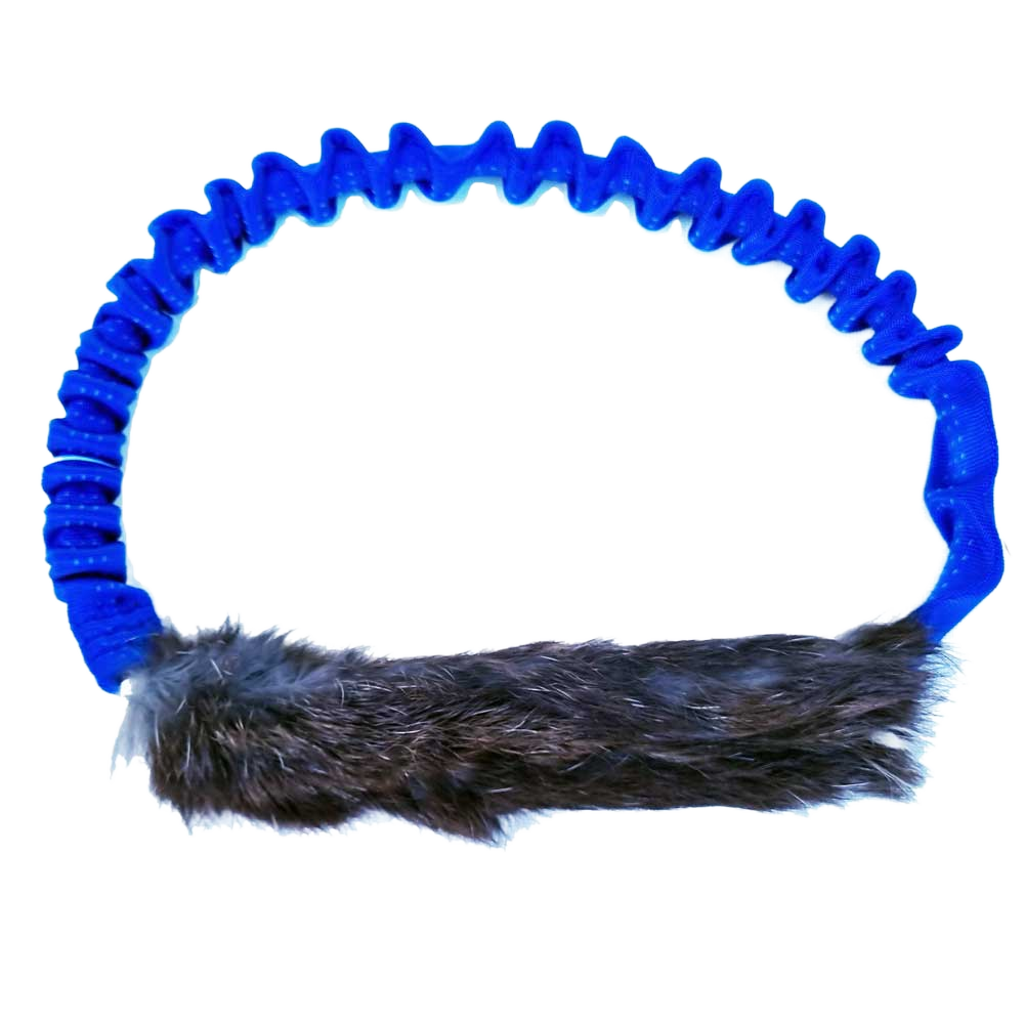 Bungee Rabbit Ring Tug