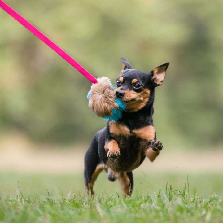 Rabbit Fur Squeaky Chaser