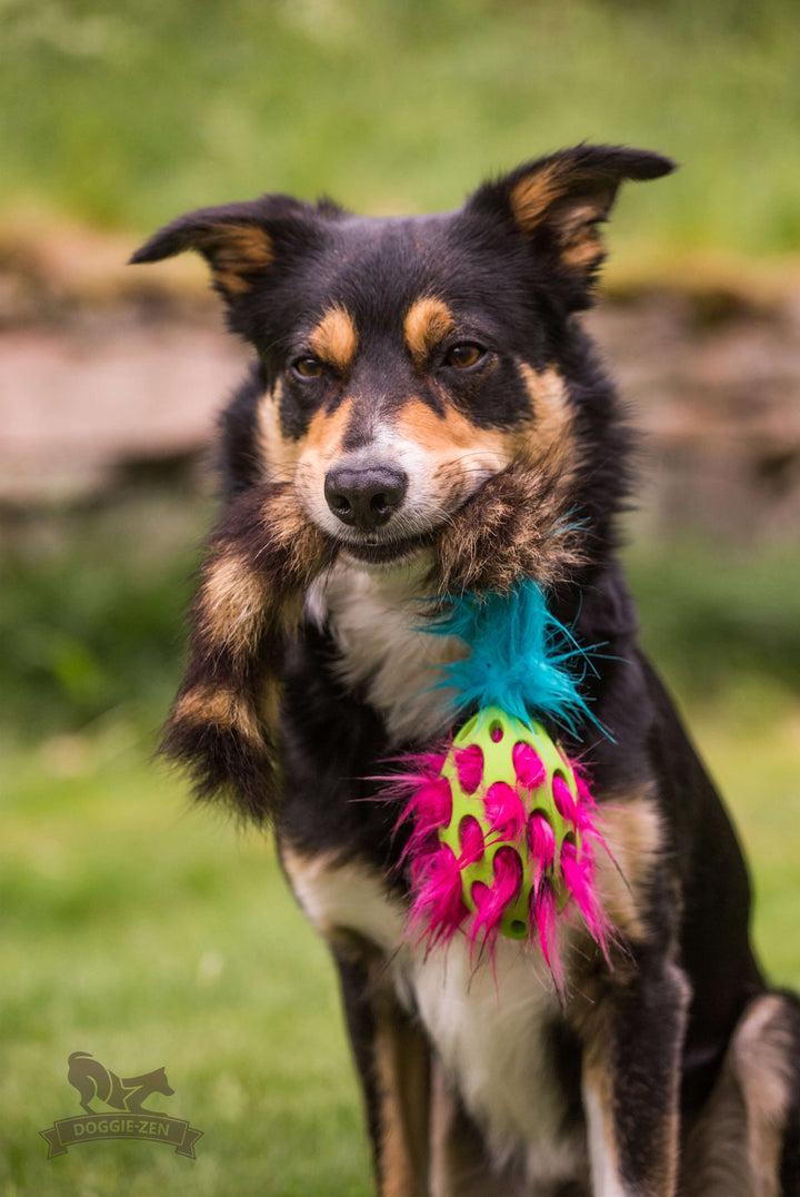 Raccoon Tail Squeaky Comet