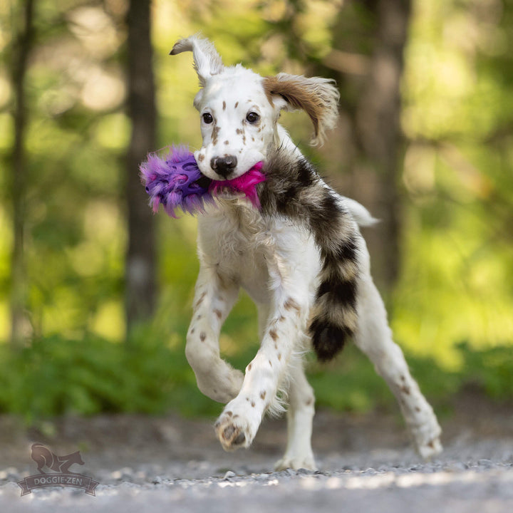 Raccoon Tail Squeaky Comet