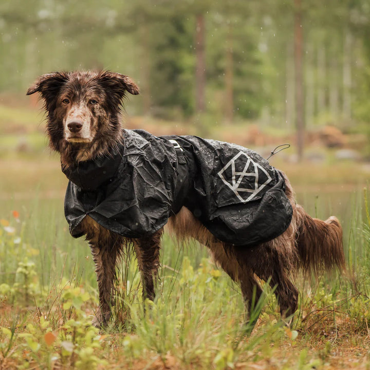 Hundlands Raincoat STORMSY