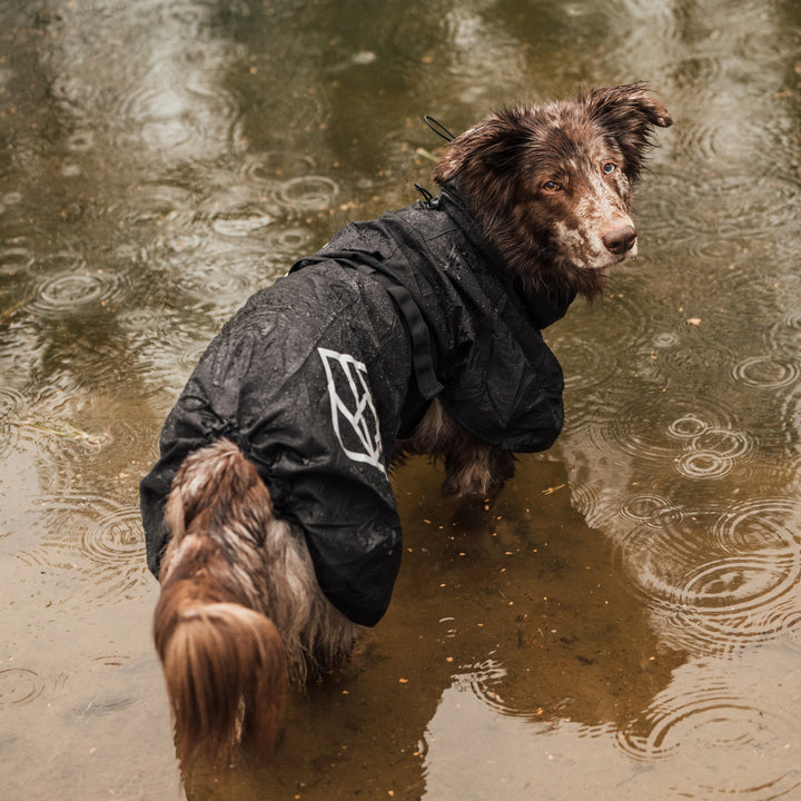 Hundlands Raincoat STORMSY