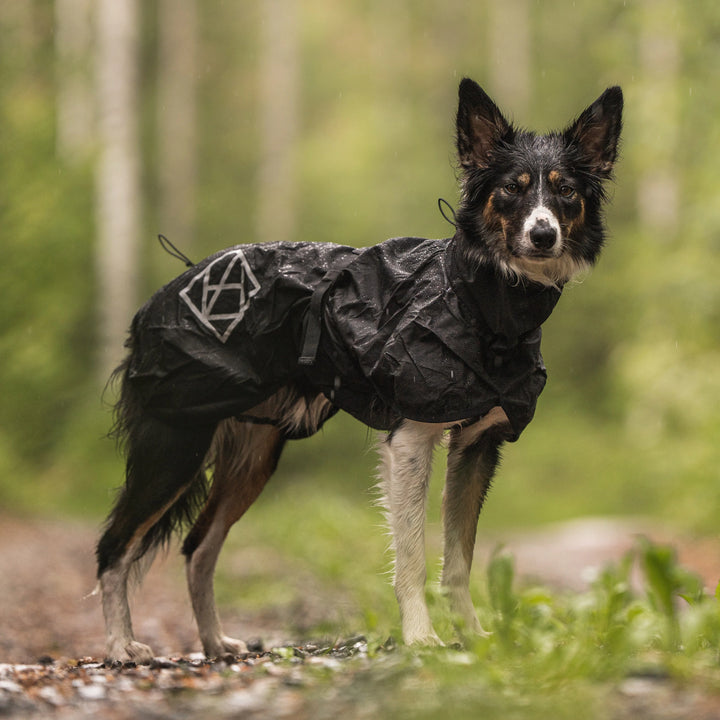 Hundlands Raincoat STORMSY