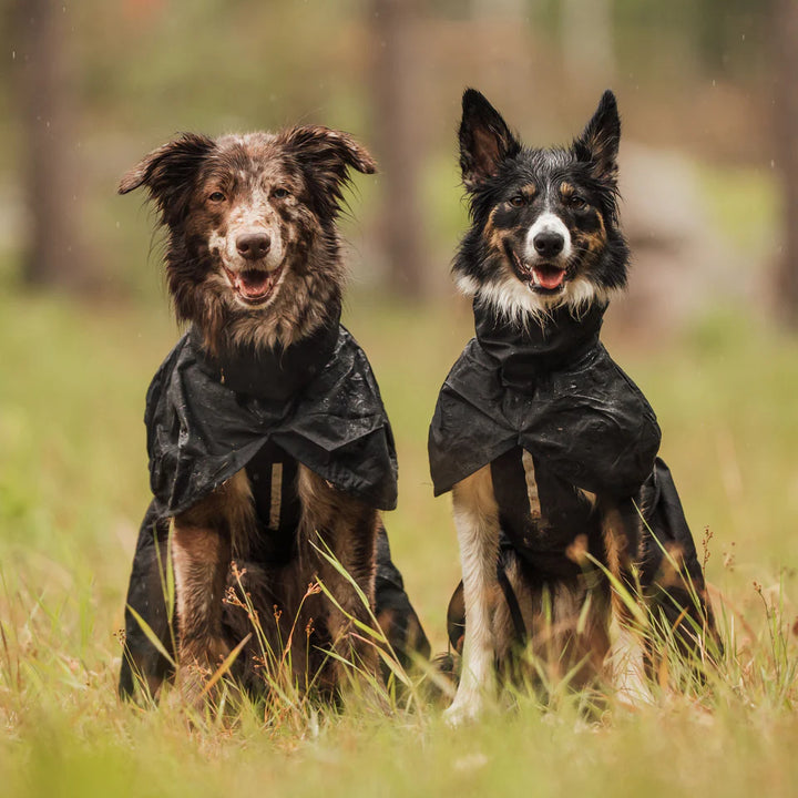 Hundlands Raincoat STORMSY